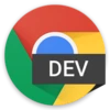 Chrome Dev 155.0.8056.0 Free Download For Window icon